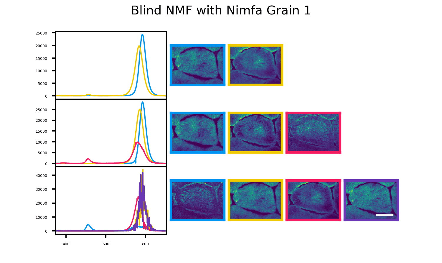 Nimfa