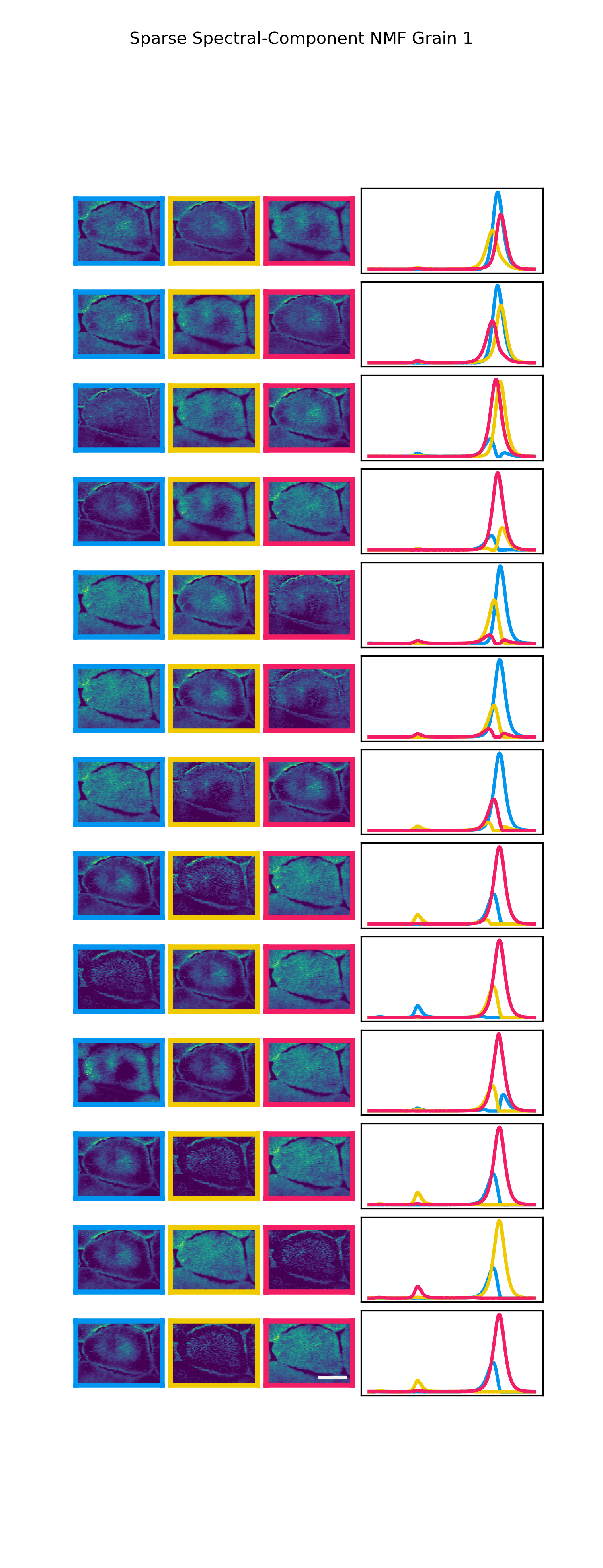 Sparseness Investigation